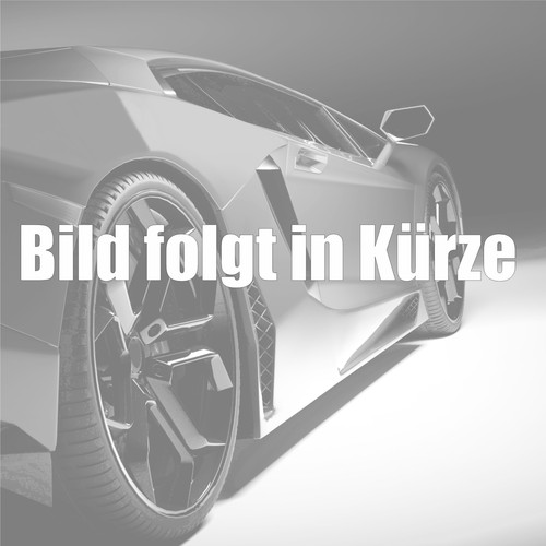 Türfensterheber elektrisch
